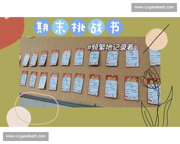 《关于发起挑战书的比赛规则与参与须知》