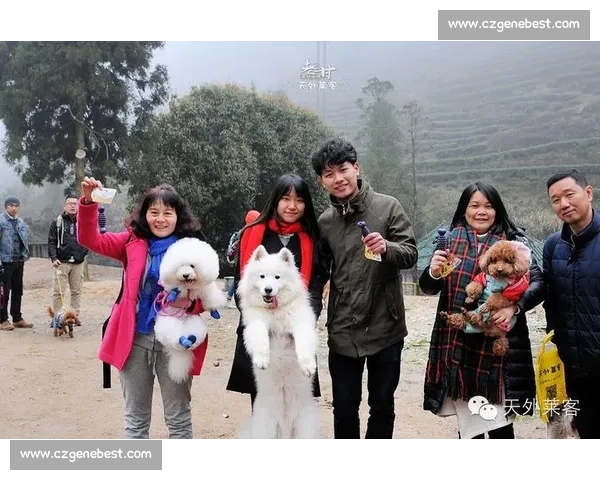 世界狗类竞技大赛盛况:全球顶尖犬种齐聚,角逐最强之犬荣耀 世界狗类竞技大赛盛况:全球顶尖犬种齐聚,角逐最强之犬荣耀